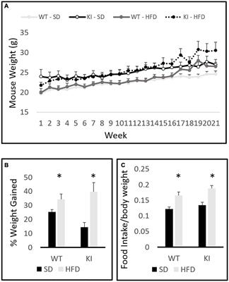 The Effects of Brain Serotonin Deficiency on Responses to High Fat Diet in Female Mice